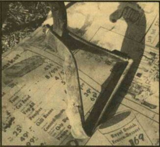 A Garden Weeding Tool Image